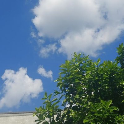 Realemmyjakarta's profile picture. Here we Go ✈️. #Chelsea. #Messi #Football. 🇬🇧🇳🇬