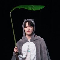 ave ✶ (@joshinoo_) 's Twitter Profile