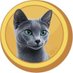 Arthur Golden Cat (@arthurgcat) Twitter profile photo Arthur Golden Cat (@arthurgcat) Twitter profile photo
