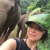 evelyn (@evellyynsr) 's Twitter Profile