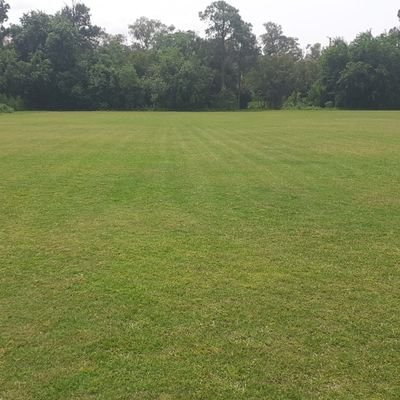 weyready32246's profile picture. 