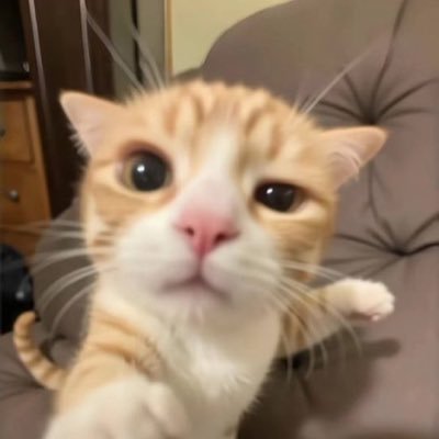 milkpanza's profile picture. ✨| milklove | Orm Kornnaphat |✨