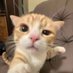 lake 🐈 (@milkpanza) Twitter profile photo lake 🐈 (@milkpanza) Twitter profile photo