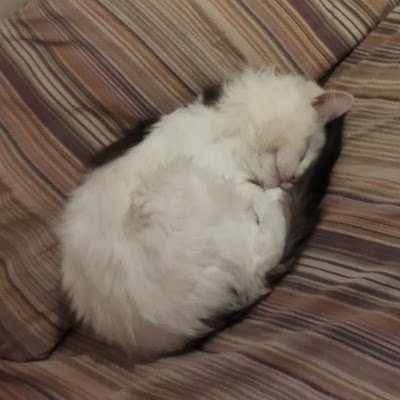 Karumpara's profile picture. 