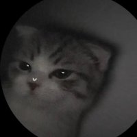 gagagaga (@wadawdawdaw221) 's Twitter Profile
