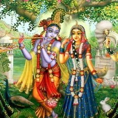 nabha_dasi's profile picture. goloker premdhan harinaam sankirtan ✨✨
