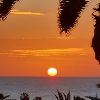 @johnno2323