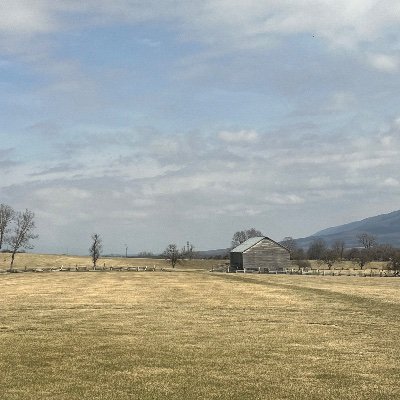 liftset4's profile picture. 