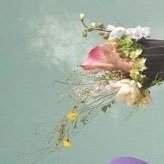 MyGaloreAoringo's profile picture. Mrs. GREEN APPLE🔰今とても大切にしたい人達🍏好きと感謝を伝える方法を模索中🫧🫧🫧