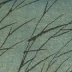 sousou_321's profile picture. 20↑ / 腐