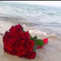 Ashwaq_queen123 (@quee87654) 's Twitter Profile