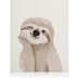 Bradypus torquatus (@izaugsmei) Twitter profile photo Bradypus torquatus (@izaugsmei) Twitter profile photo