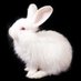˚ ✦ . . ˚ . (@pamlabyrinth) Twitter profile photo ˚ ✦ . . ˚ . (@pamlabyrinth) Twitter profile photo
