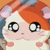 🐹 (@chhaee2) Twitter profile photo 🐹 (@chhaee2) Twitter profile photo