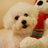 FreeHKさんのプロフィール画像