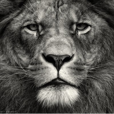 dryates93309's profile picture. 