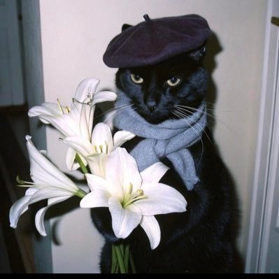 _slothbear_'s profile picture. 