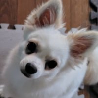 💜∞こば∞💜 (@8vu8rtbm8pvz8oh) 's Twitter Profile Photo 💜∞こば∞💜 (@8vu8rtbm8pvz8oh) 's Twitter Profile Photo