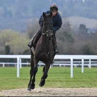 Molly Legg (@mollylegg4) 's Twitter Profile