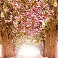 🌷Lena 🐣 (@___lena96___) 's Twitter Profile