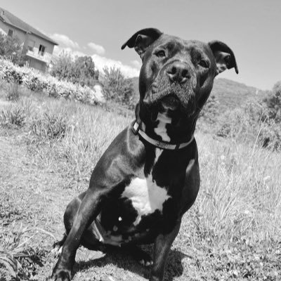 melanie3888's profile picture. 