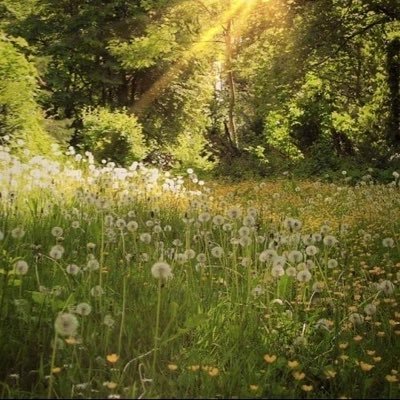 user15762894's profile picture. 