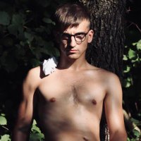 Demo (@demo_v7) 's Twitter Profile