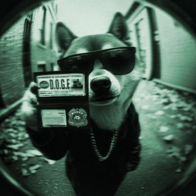 _Swamp_Fox_'s profile picture. Are you mad at us, or just mad it's us?