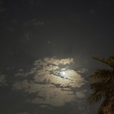 mohamdmr27's profile picture. اللهم ما أصبح بي من نعمة، أو بِأحد مِن خلقك، فمنك وحدك لا شريك لك، فلك الـحمد ولك الشكر