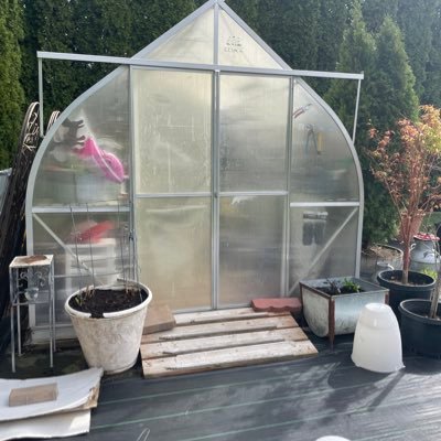 goingranny's profile picture. insanely crazy about my family and fierce lover of God. I’m blessed every day for what I have.