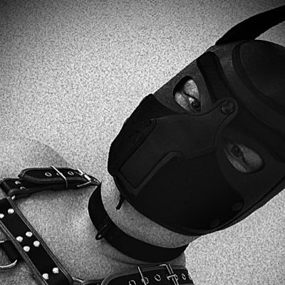 AustriaGoodboy's profile picture. OWNED BY THE BEST MASTER