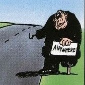 Dan Minucciさんのプロフィール画像