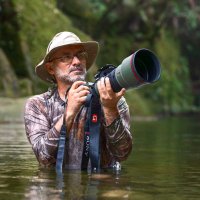 Memo Gómez (Fotógrafo de Naturaleza) (@memogomezfoto) 's Twitter Profile Photo Memo Gómez (Fotógrafo de Naturaleza) (@memogomezfoto) 's Twitter Profile Photo