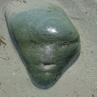 Laurie Van Horne π¨π¦ (@anameforthat) 's Twitter Profile Photo Laurie Van Horne π¨π¦ (@anameforthat) 's Twitter Profile Photo
