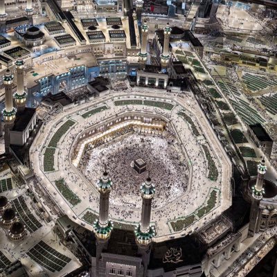 Mountedfalah's profile picture. 