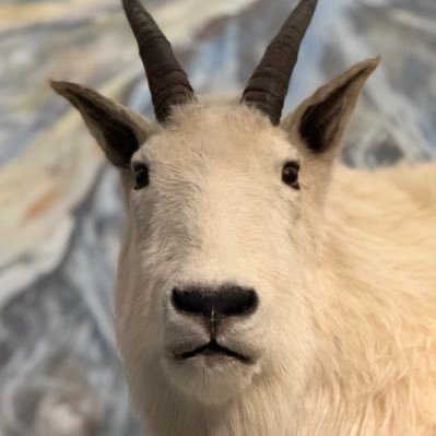 yagiyyyy's profile picture. 