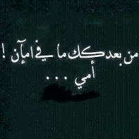 قـمـر 🌘 (@gmarruyy77) 's Twitter Profile