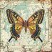 Black Butterfly ๐ฆ (@lfarrarspivey) Twitter profile photo Black Butterfly ๐ฆ (@lfarrarspivey) Twitter profile photo