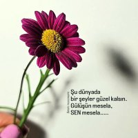 Asi° AY_07 (@asiay_07) 's Twitter Profile