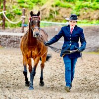 Karen Reynolds (@krqps) 's Twitter Profile