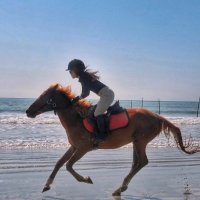 ποΈββοΈποΈπ (@ajkf_zariana) 's Twitter Profile