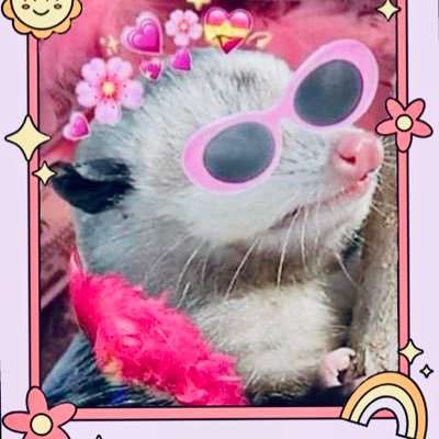 kitthepossum's profile picture. Gorlworld nonsense ✨ Fair Use Possum ✨ . 𝒮𝓉𝒶𝓎 𝒯𝑅𝒜𝒮𝐻𝒴  💅🏼.