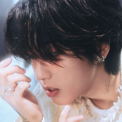 kvrohannie's profile picture. matecocido