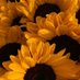ð» NotBloomy ð»ðŒð§ðªœð¥ð¬ð¥ð§ºðªŒð¹ð¹ð¹ (@bloomlyblue) Twitter profile photo ð» NotBloomy ð»ðŒð§ðªœð¥ð¬ð¥ð§ºðªŒð¹ð¹ð¹ (@bloomlyblue) Twitter profile photo