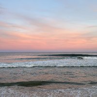 Rachel Yasnowski (@ryasnowski) 's Twitter Profile