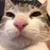 Bilge (@aufgeschmissen_) Twitter profile photo Bilge (@aufgeschmissen_) Twitter profile photo