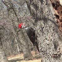 Jon (@4hdustpan) 's Twitter Profile