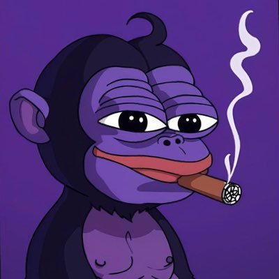 MemeCoinPusherr's profile picture. 