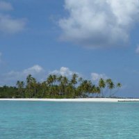 ダニエル (@04_tokyo_) 's Twitter Profile