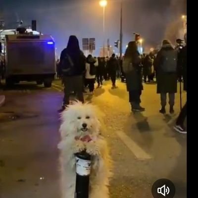 merdenam's profile picture. 